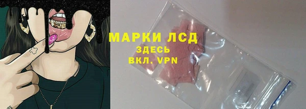 МДПВ Дмитриев