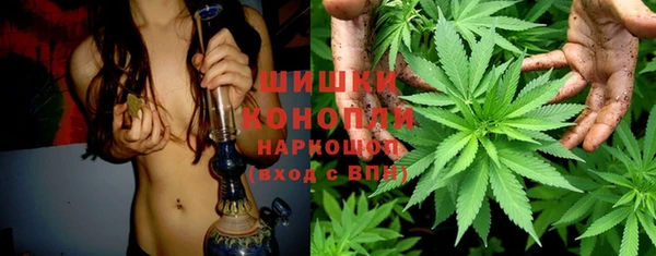 МДПВ Дмитриев