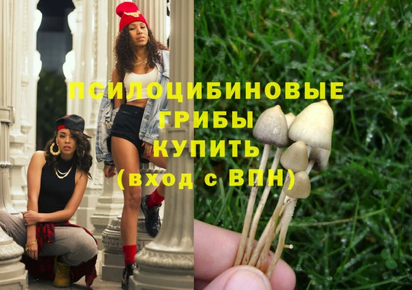 соль курить ск Дмитров
