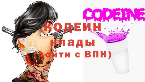 МДПВ Дмитриев
